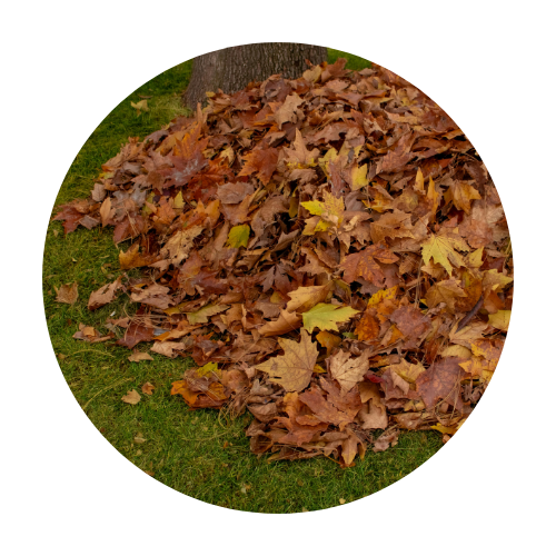 Gartenpflege für Unternehmen| PF Dienstleistungen